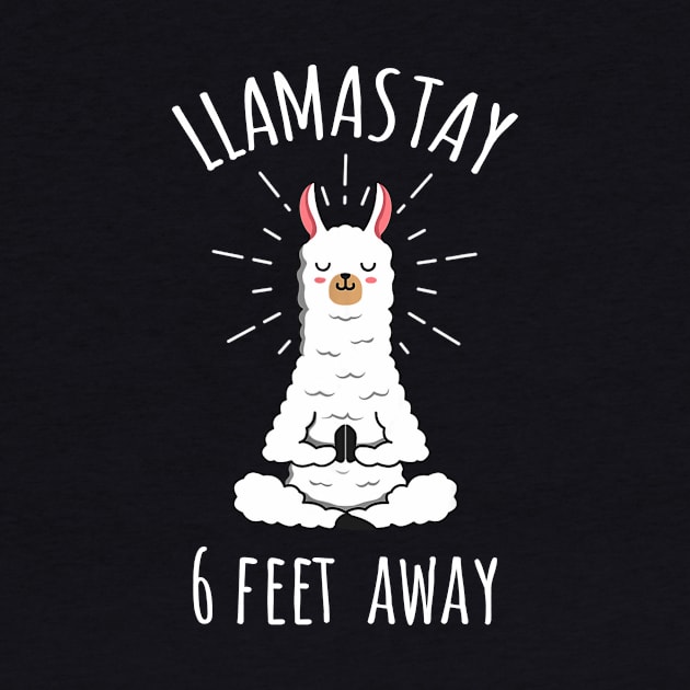 Llamastay 6 Feet Away Funny Llama Social Distancing Shirt by Alana Clothing